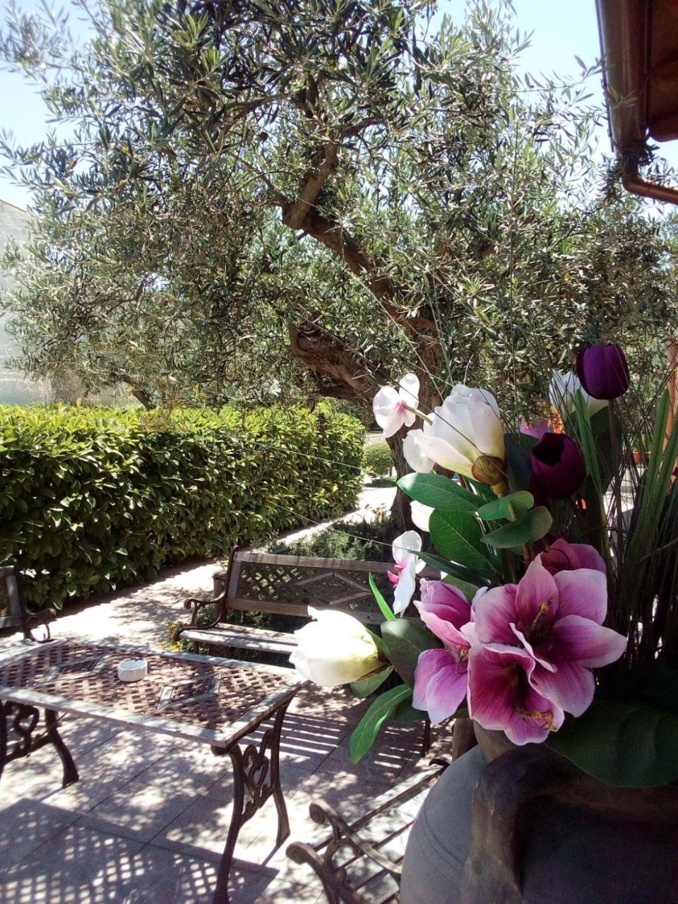Villa Plasi Menfi Exterior photo